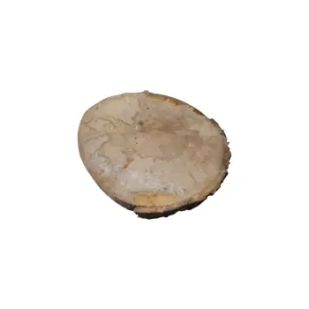 Plaster Jawora 28x26x3,5cm