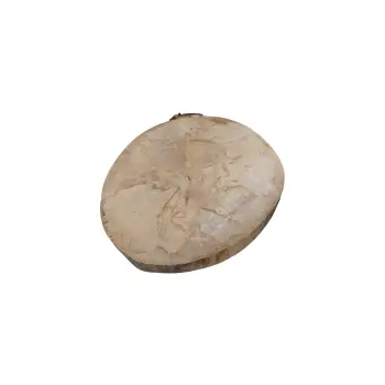 Plaster Jawora 28x25x3,5cm