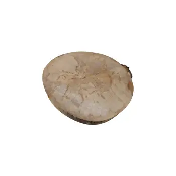 Plaster Jawora 28x25x3,5cm