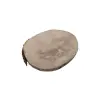 Plaster Jawora 28x22x3,5cm
