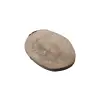 Plaster Jawora 28x22x3,5cm