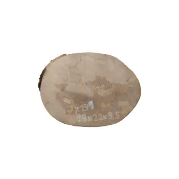 Plaster Jawora 28x22x3,5cm