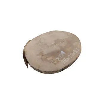 Plaster Jawora 28x22x3,5cm