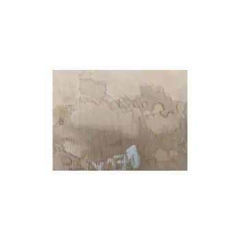 Plaster Jawora 28x22x3,5cm
