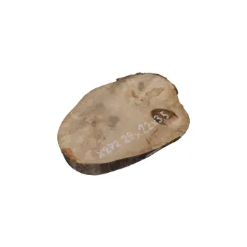 Plaster Jawora 29x22x3,5cm