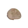 Plaster Jawora 25x21x3,5cm