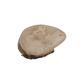 Plaster Jawora 25x21x3,5cm