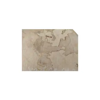 Plaster Jawora 25x21x3,5cm