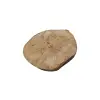 Plaster Jawora 29x27x4cm