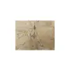 Plaster Jawora 29x27x4cm