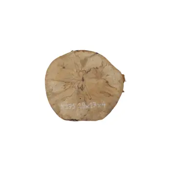 Plaster Jawora 29x27x4cm