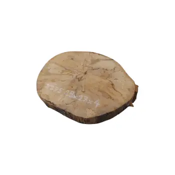 Plaster Jawora 29x27x4cm