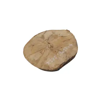 Plaster Jawora 29x27x4cm