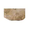 Plaster Jawora 41x35x6cm