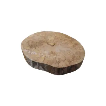 Plaster Jawora 41x35x6cm