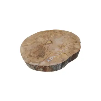 Plaster Jawora 41x35x6cm