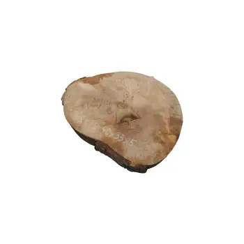 Plaster Jawora 40x33x5cm