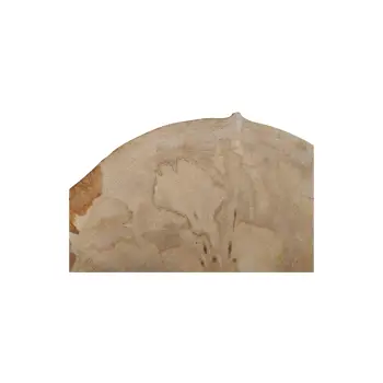 Plaster Jawora 40x33x5cm