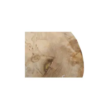 Plaster Jawora 40x33x5cm