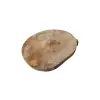 Plaster Jawora 38x33x3,5cm