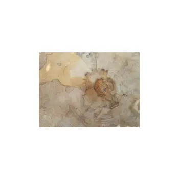 Plaster Jawora 38x33x3,5cm