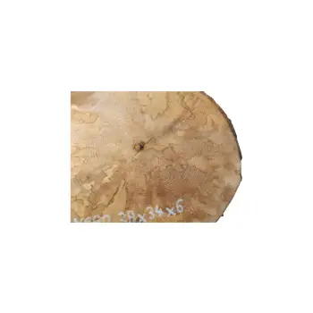 Plaster Jawora 38x34x6cm