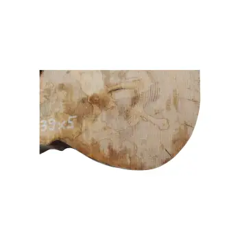Plaster Jawora 58x39x5cm