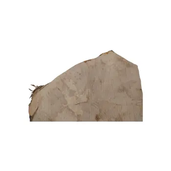 Plaster Jawora 58x39x5cm