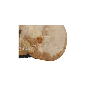 Plaster Jawora 53x33x7cm