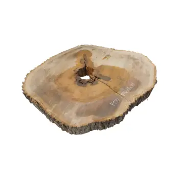 Plaster Jesionowy w Dwóch Kawałkach 97x86x10cm