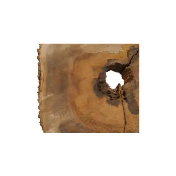 Plaster Jesionowy w Dwóch Kawałkach 97x86x10cm