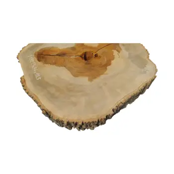 Plaster Jesionowy w Dwóch Kawałkach 99x84x11,5cm