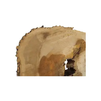 Plaster Jesionowy w Dwóch Kawałkach 99x88x10cm