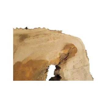 Plaster Jesionowy w Dwóch Kawałkach 99x88x10cm