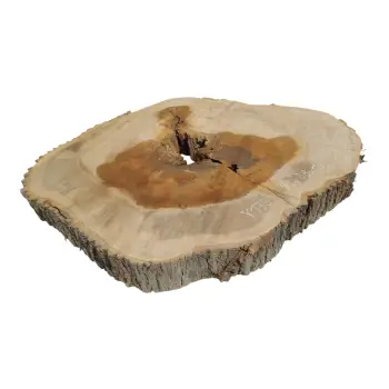 Plaster Jesionowy w Dwóch Kawałkach 99x88x10cm