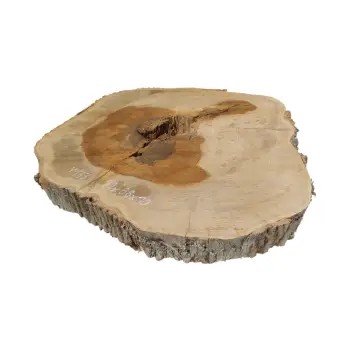 Plaster Jesionowy w Dwóch Kawałkach 99x88x10cm