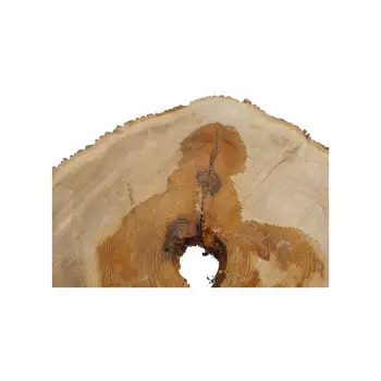 Plaster Jesionowy w Dwóch Kawałkach 105x90x11cm