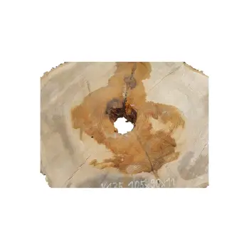 Plaster Jesionowy w Dwóch Kawałkach 105x90x11cm