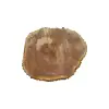 Plaster Jesionowy 94x81x10cm