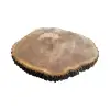 Plaster Jesionowy 94x81x10cm