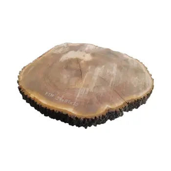 Plaster Jesionowy 94x81x10cm