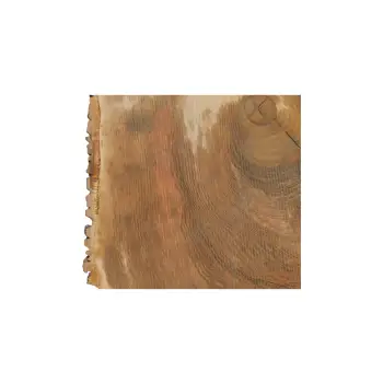 Plaster Jesionowy 94x81x10cm