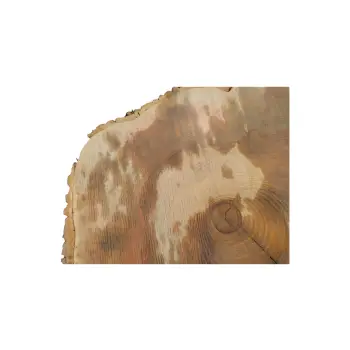 Plaster Jesionowy 94x81x10cm