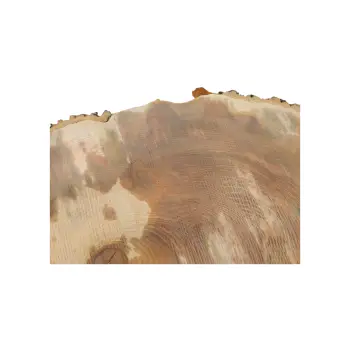 Plaster Jesionowy 94x81x10cm