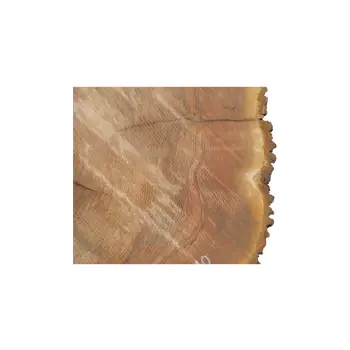 Plaster Jesionowy 94x81x10cm