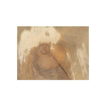 Plaster Jesionowy 94x81x10cm