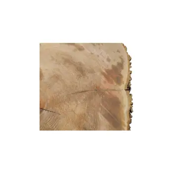 Plaster Jesionowy 95x82x9,5cm