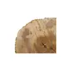 Plaster Jesionowy 96x83x9cm