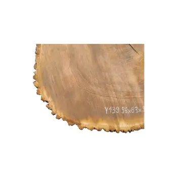 Plaster Jesionowy 96x83x9cm
