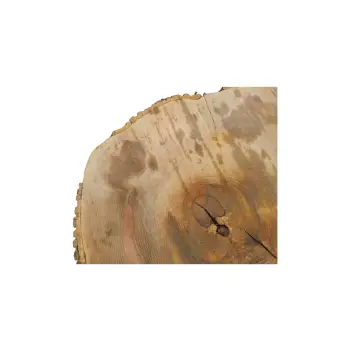 Plaster Jesionowy 96x83x9cm